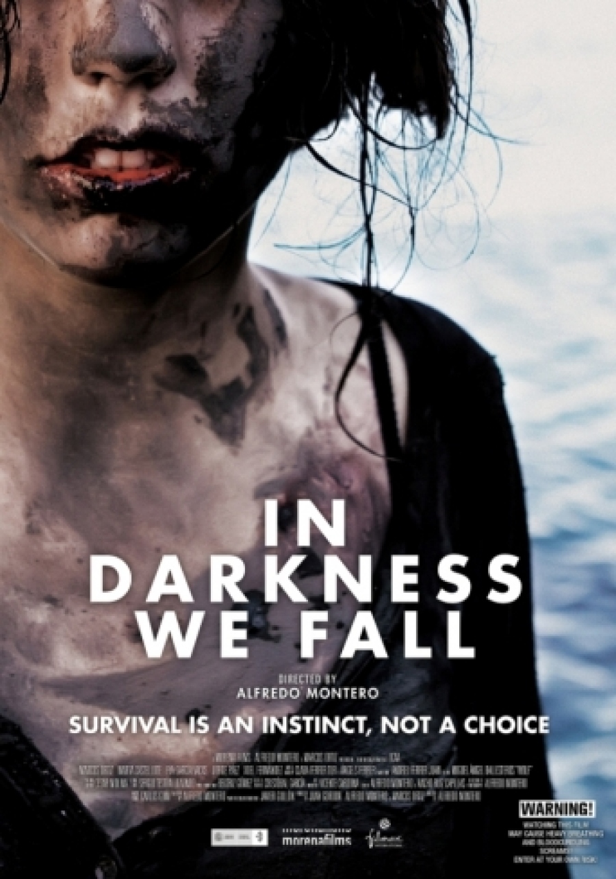 IN DARKNESS WE FALL