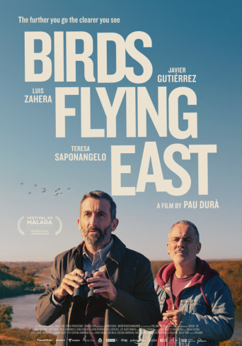 BIRDS FLYING EAST